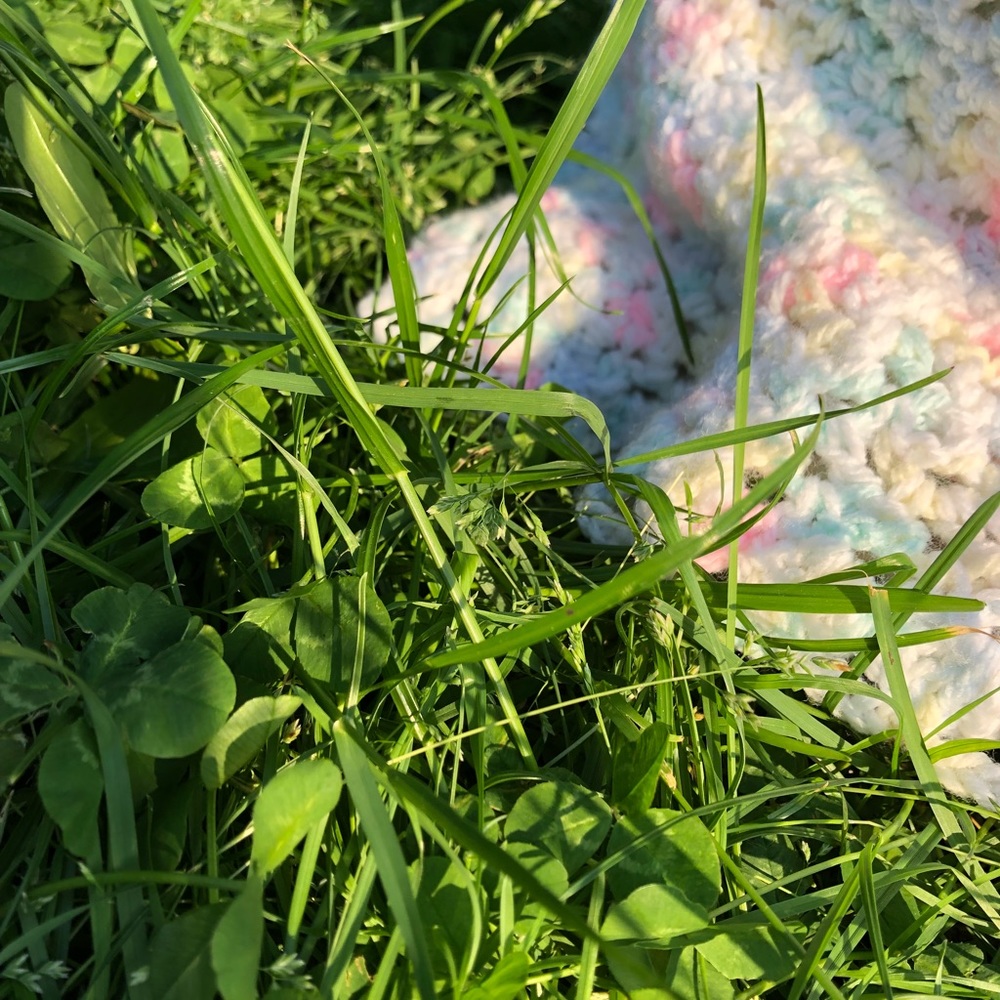 Meet your Posher, Sara